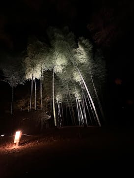 六義園に投稿された画像（2023/12/3）