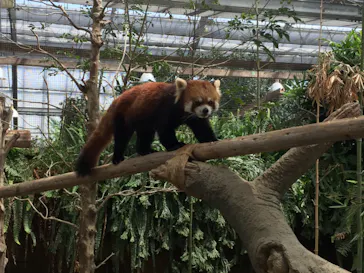 神戸どうぶつ王国に投稿された画像（2023/12/3）