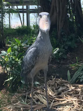 神戸どうぶつ王国に投稿された画像（2023/12/3）