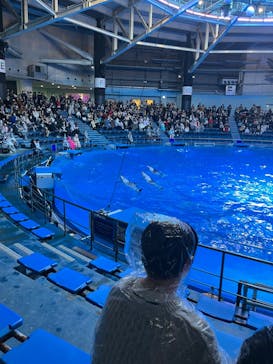 サンシャイン水族館に投稿された画像（2023/12/3）