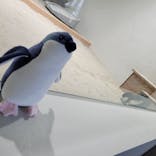 AOAO SAPPOROに投稿された画像（2023/12/3）