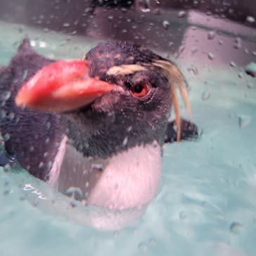 AOAO SAPPOROに投稿された画像（2023/12/3）