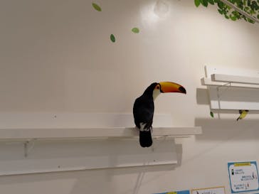 アニタッチみなとみらいに投稿された画像（2023/12/3）