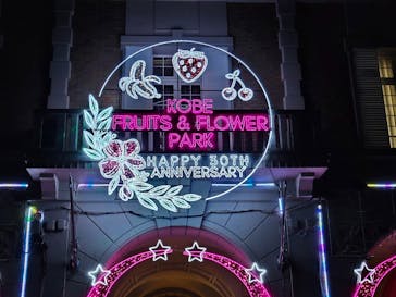 神戸イルミナージュに投稿された画像（2023/12/3）