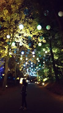 ムーミンバレーパークに投稿された画像（2023/12/3）