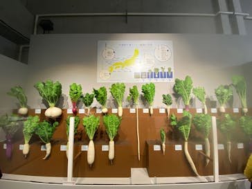 特別展「和食 ～日本の自然、人々の知恵～」に投稿された画像（2023/12/3）