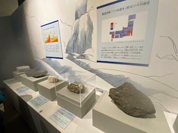 特別展「和食 ～日本の自然、人々の知恵～」に投稿された画像（2023/12/3）