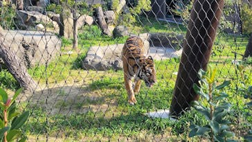 名古屋市東山動植物園に投稿された画像（2023/12/3）