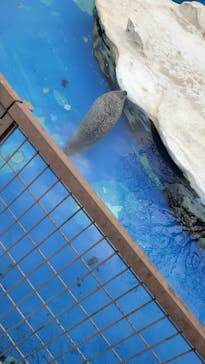 名古屋市東山動植物園に投稿された画像（2023/12/3）