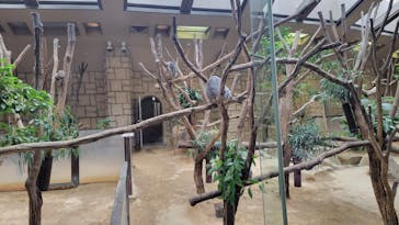 名古屋市東山動植物園に投稿された画像（2023/12/3）