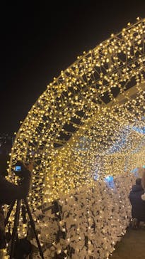 東京メガイルミに投稿された画像（2023/12/3）