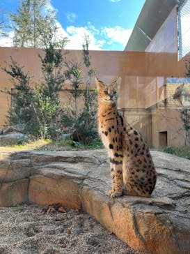 那須どうぶつ王国に投稿された画像（2023/12/3）