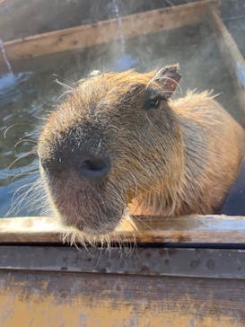 那須どうぶつ王国に投稿された画像（2023/12/3）
