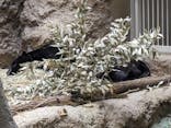 名古屋市東山動植物園に投稿された画像（2023/12/3）