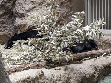 名古屋市東山動植物園に投稿された画像（2023/12/3）