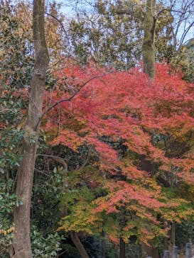 名古屋市東山動植物園に投稿された画像（2023/12/3）