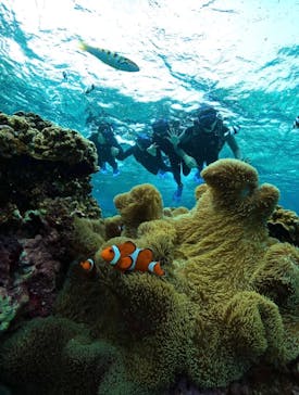 オースリーシュノーケル宮古島に投稿された画像（2023/12/3）