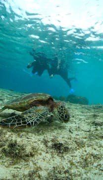 オースリーシュノーケル宮古島に投稿された画像（2023/12/3）