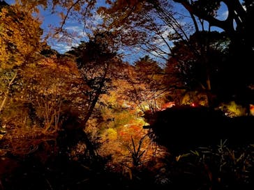 六義園に投稿された画像（2023/12/3）