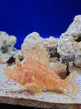 サンシャイン水族館に投稿された画像（2023/12/3）
