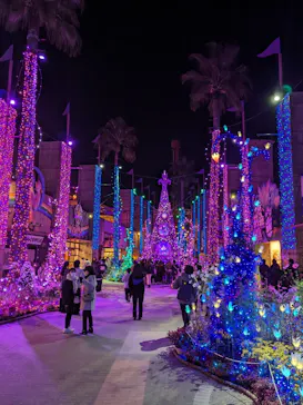 ひらかたパークに投稿された画像（2023/12/3）