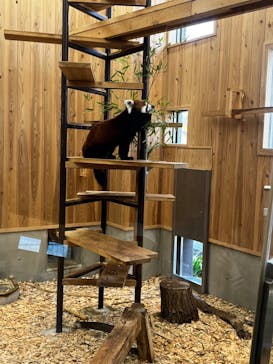 名古屋市東山動植物園に投稿された画像（2023/12/3）