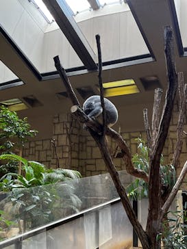 名古屋市東山動植物園に投稿された画像（2023/12/3）