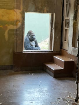 名古屋市東山動植物園に投稿された画像（2023/12/3）