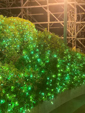 ひらかたパークに投稿された画像（2023/12/3）