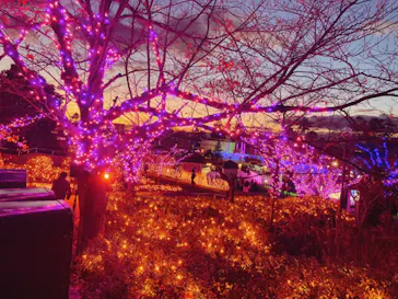 ひらかたパークに投稿された画像（2023/12/3）