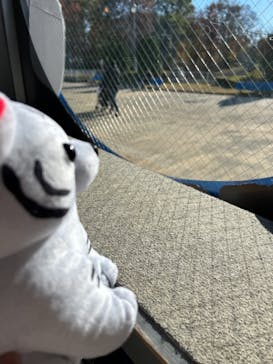 東武動物公園に投稿された画像（2023/12/3）