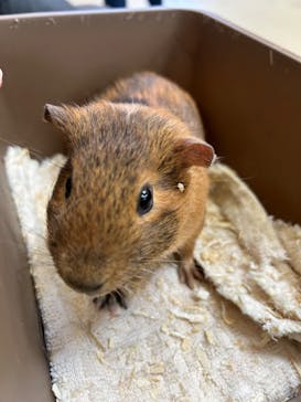 東武動物公園に投稿された画像（2023/12/3）