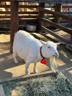 東武動物公園に投稿された画像（2023/12/3）