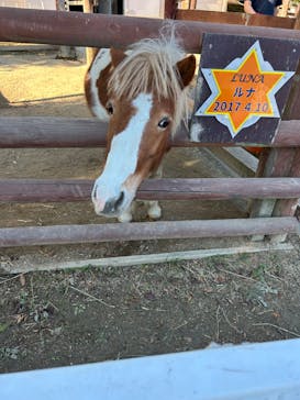 東武動物公園に投稿された画像（2023/12/3）