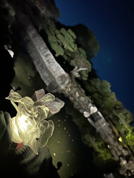 NAKED meets 二条城 2025 観月に投稿された画像（2023/12/3）