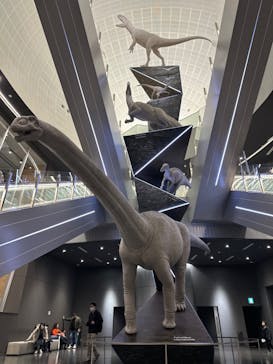 福井県立恐竜博物館に投稿された画像（2023/12/3）