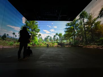 福井県立恐竜博物館に投稿された画像（2023/12/3）