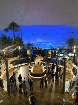 福井県立恐竜博物館に投稿された画像（2023/12/3）