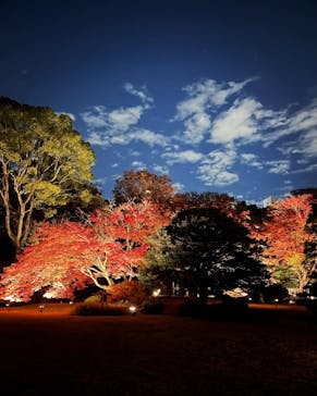 六義園に投稿された画像（2023/12/3）