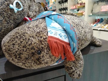 京都水族館に投稿された画像（2023/12/3）