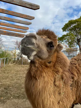 神戸どうぶつ王国に投稿された画像（2023/12/3）