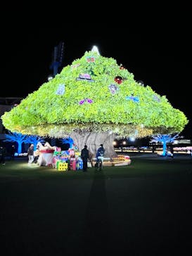 東京メガイルミに投稿された画像（2023/12/3）