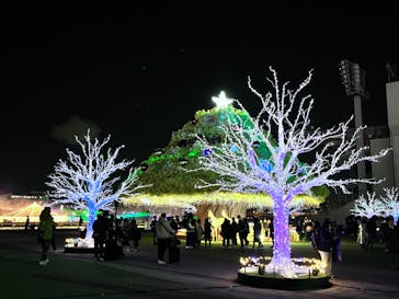 東京メガイルミに投稿された画像（2023/12/3）