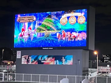 東京メガイルミに投稿された画像（2023/12/3）