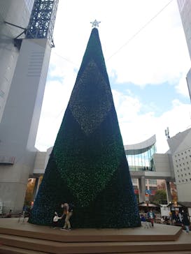 梅田スカイビル・空中庭園展望台に投稿された画像（2023/12/3）