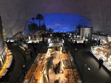 福井県立恐竜博物館に投稿された画像（2023/12/3）