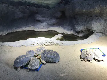 天王寺動物園に投稿された画像（2023/12/3）