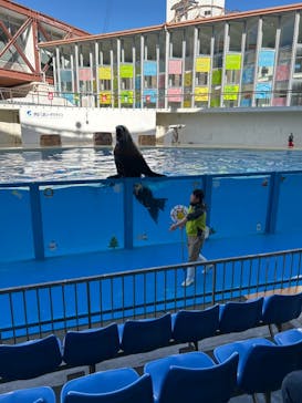 伊豆・三津シーパラダイスに投稿された画像（2023/12/3）