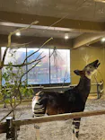 よこはま動物園ズーラシアに投稿された画像（2023/12/3）