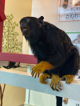 アニタッチみなとみらいに投稿された画像（2023/12/3）